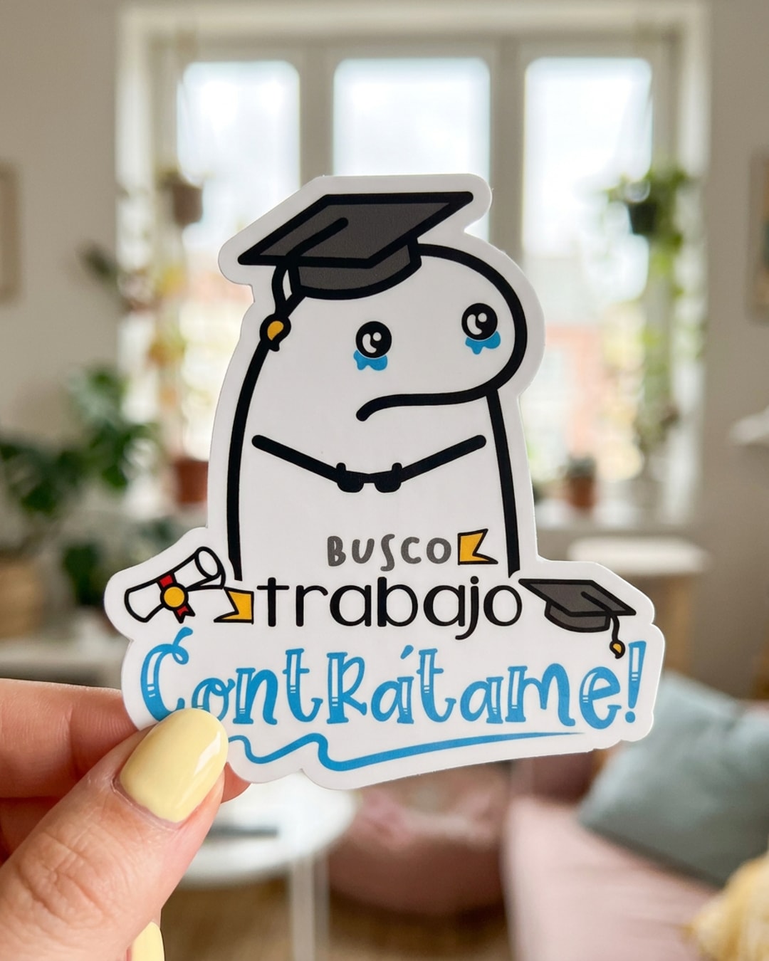 Pegatina Flork graduado Busco trabajo contrátame sostenida en la mano, a tamaño real